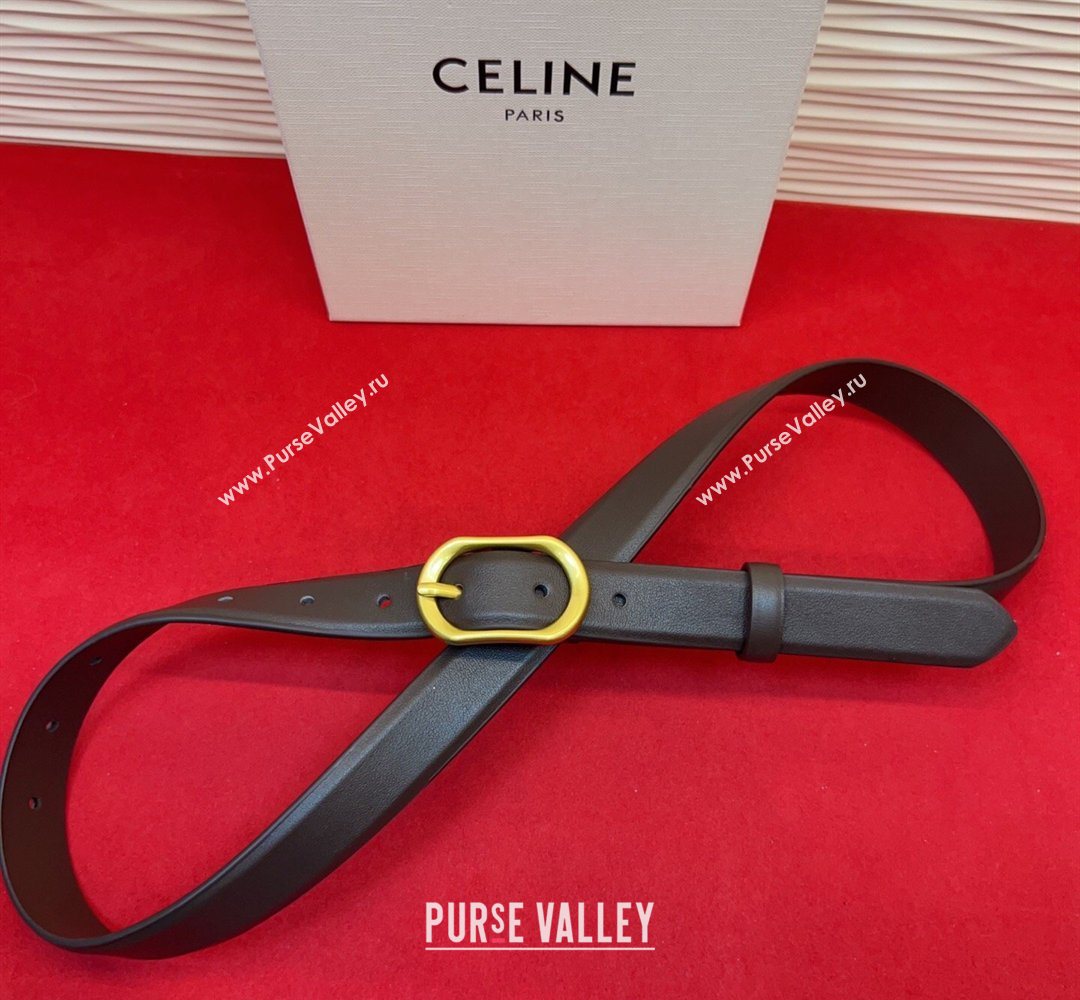 Celine Triomphe Medium Belt 2.5cm with Pin Buckle in Calfskin Leather Dark Brown 2026 CE031601 (99-260316025)