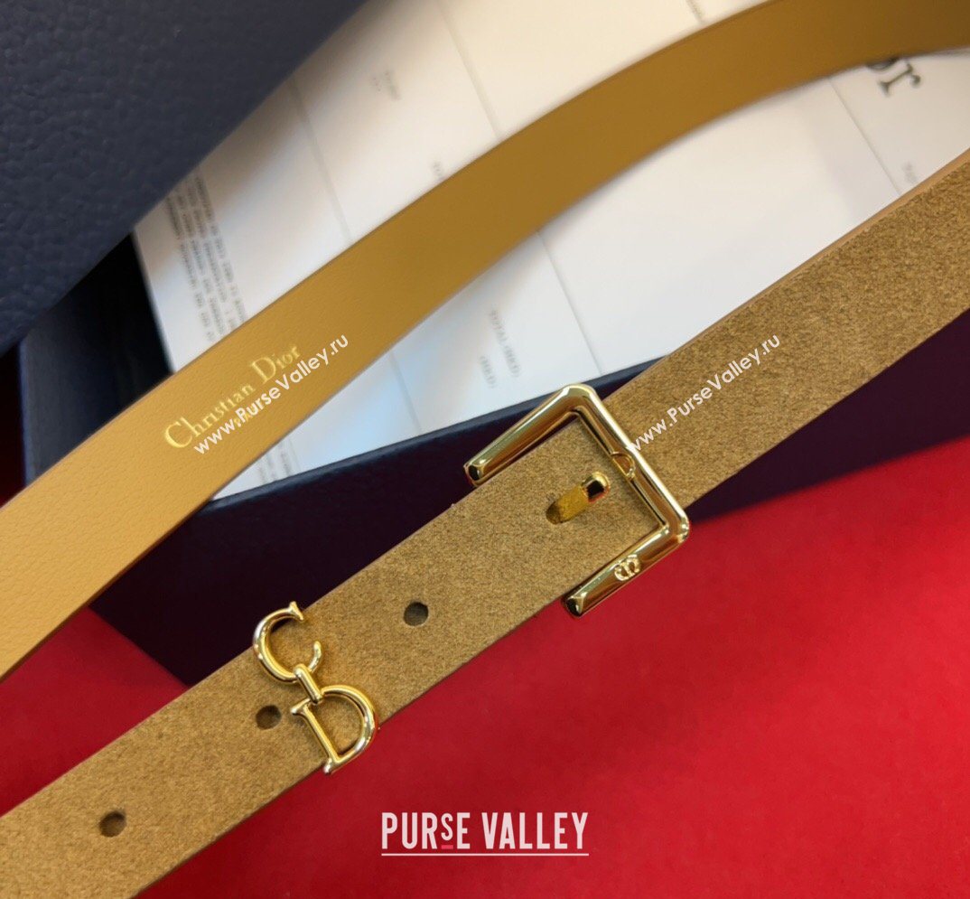 Dior Saddle Loop Belt 2cm in Suede with CD Pin Buckle Biscuits Beige/Gold 2026 DR031705 (99-260317018)