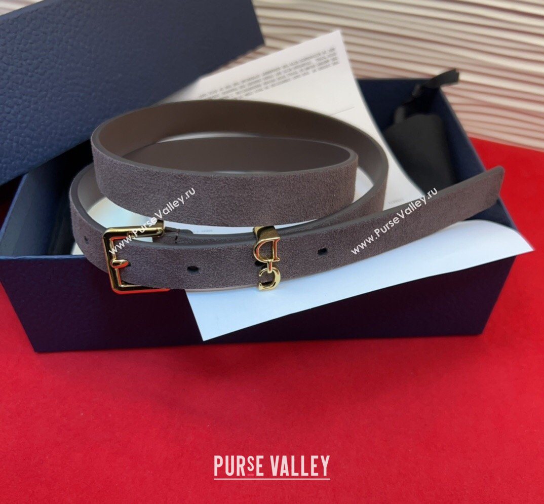 Dior Saddle Loop Belt 2cm in Suede with CD Pin Buckle Taupe/Gold 2026 DR031705 (99-260317019)