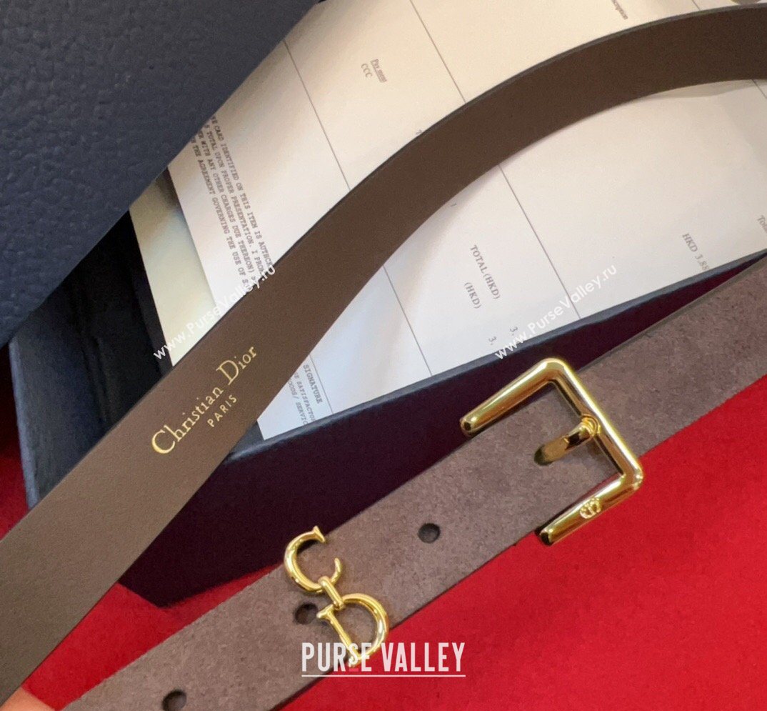 Dior Saddle Loop Belt 2cm in Suede with CD Pin Buckle Taupe/Gold 2026 DR031705 (99-260317019)