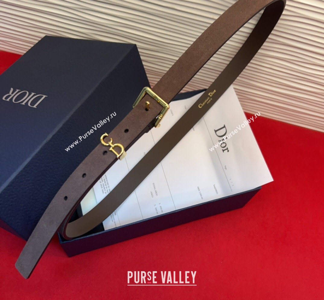 Dior Saddle Loop Belt 2cm in Suede with CD Pin Buckle Taupe/Gold 2026 DR031705 (99-260317019)