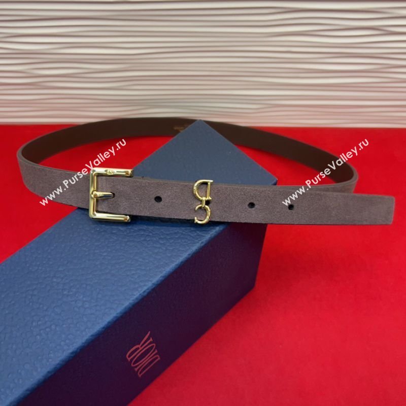 Dior Saddle Loop Belt 2cm in Suede with CD Pin Buckle Taupe/Gold 2026 DR031705 (99-260317019)