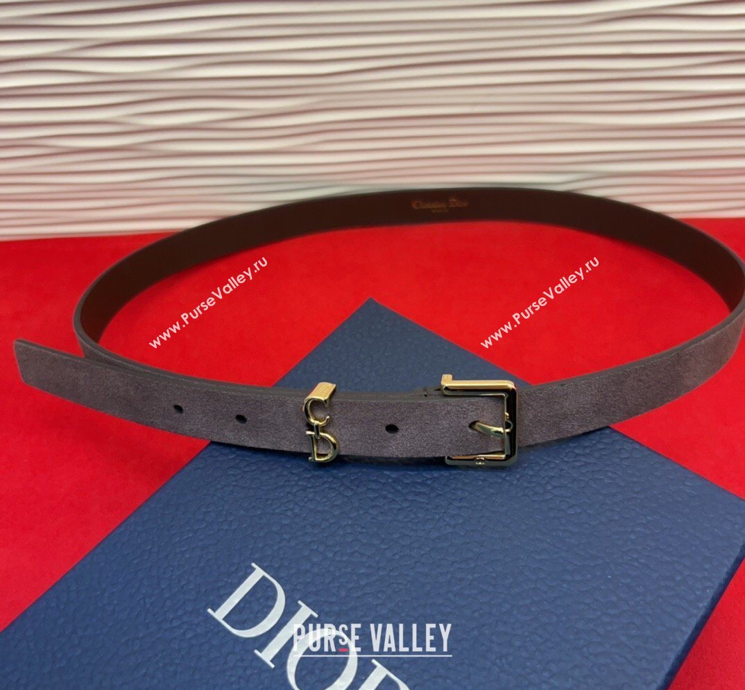 Dior Saddle Loop Belt 2cm in Suede with CD Pin Buckle Taupe/Gold 2026 DR031705 (99-260317019)