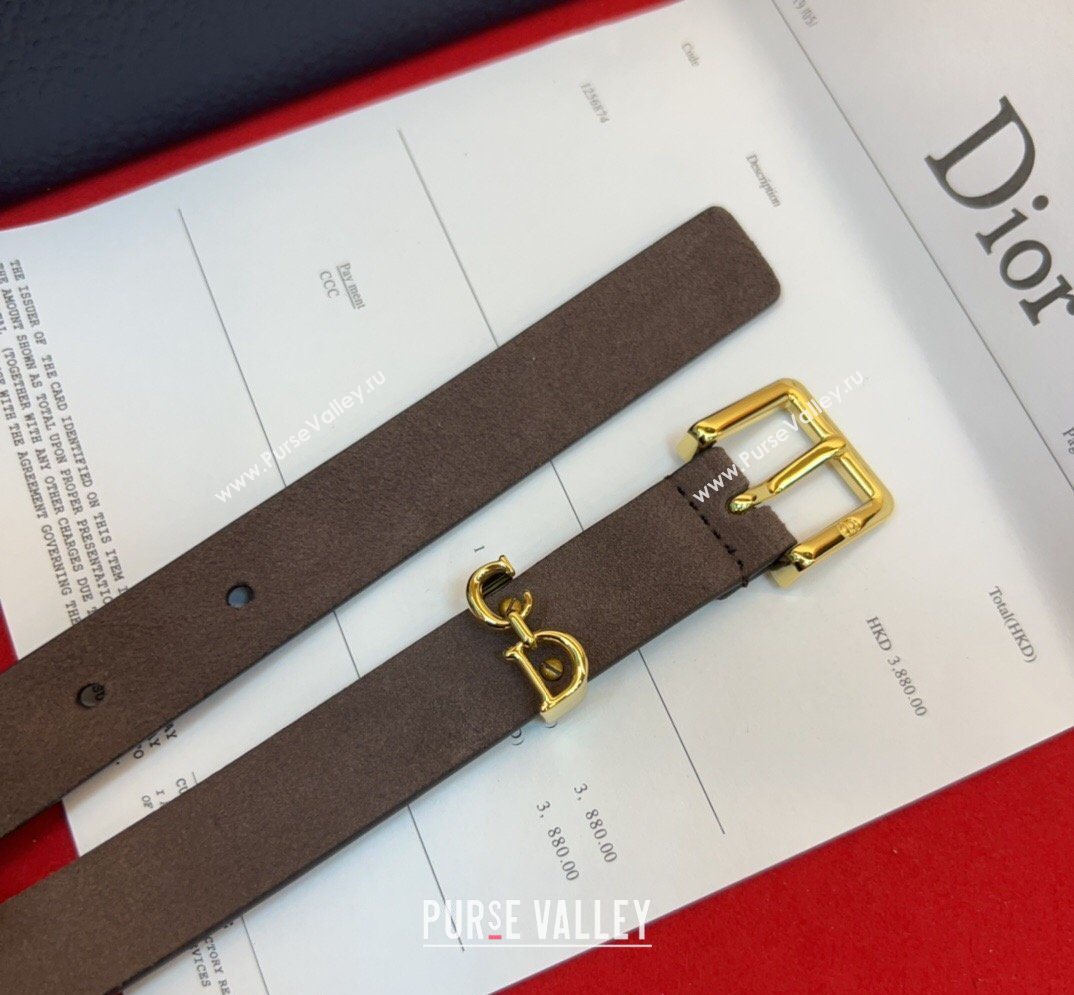 Dior Saddle Loop Belt 2cm in Suede with CD Pin Buckle Taupe/Gold 2026 DR031705 (99-260317019)