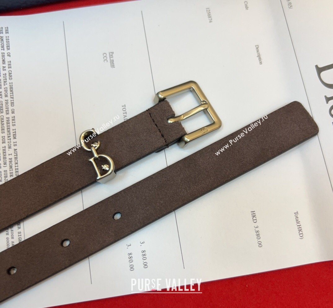 Dior Saddle Loop Belt 2cm in Suede with CD Pin Buckle Taupe/Silver 2026 DR031705 (99-260317022)