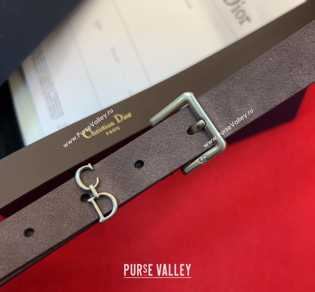 Dior Saddle Loop Belt 2cm in Suede with CD Pin Buckle Taupe/Silver 2026 DR031705 (99-260317022)