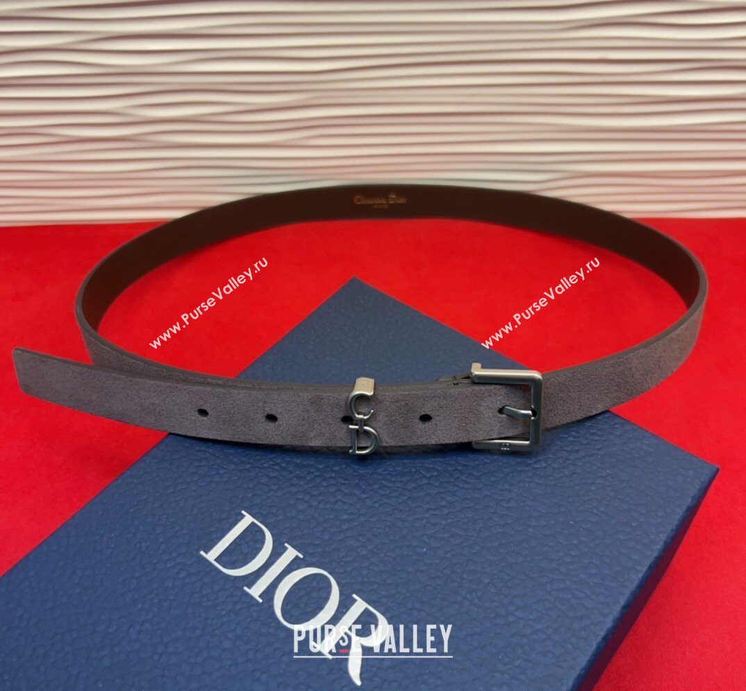 Dior Saddle Loop Belt 2cm in Suede with CD Pin Buckle Taupe/Silver 2026 DR031705 (99-260317022)