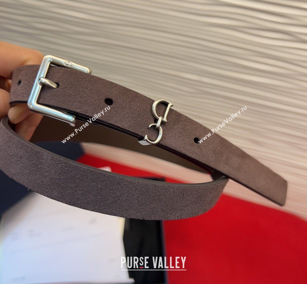 Dior Saddle Loop Belt 2cm in Suede with CD Pin Buckle Taupe/Silver 2026 DR031705 (99-260317022)