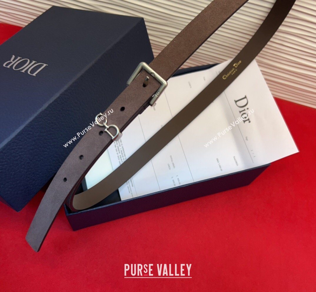 Dior Saddle Loop Belt 2cm in Suede with CD Pin Buckle Taupe/Silver 2026 DR031705 (99-260317022)