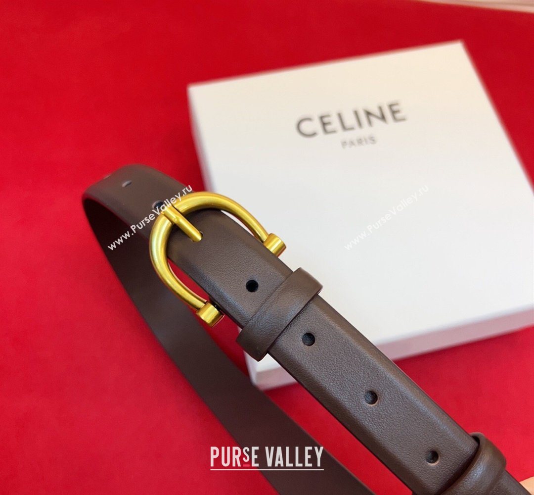 Celine Triomphe Medium Belt 2.5cm with Pin Buckle in Calfskin Leather Dark Brown 2026 CE031602 (99-260316029)