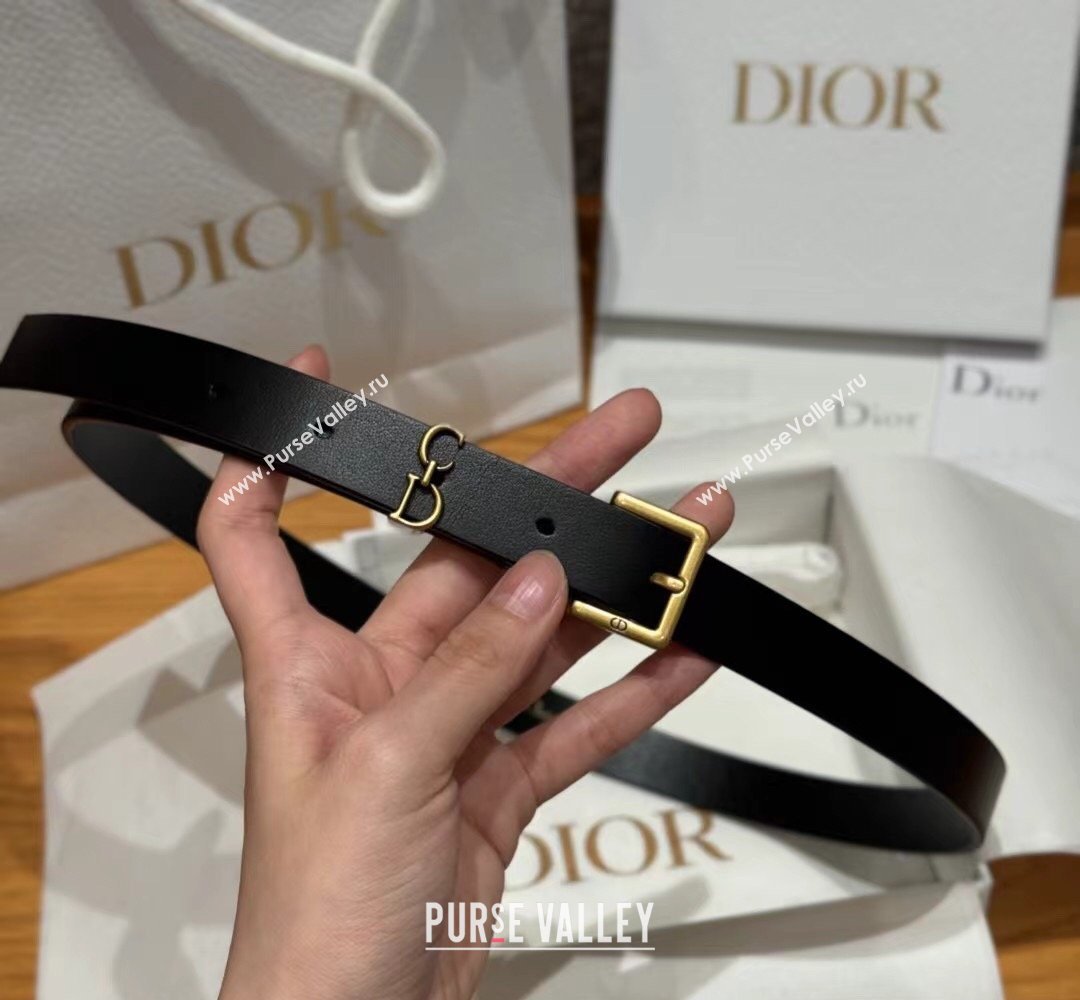 Dior Saddle Loop Belt 2cm in Smooth Leather with CD Pin Buckle Black/Gold 2026 DR031705 (99-260317025)