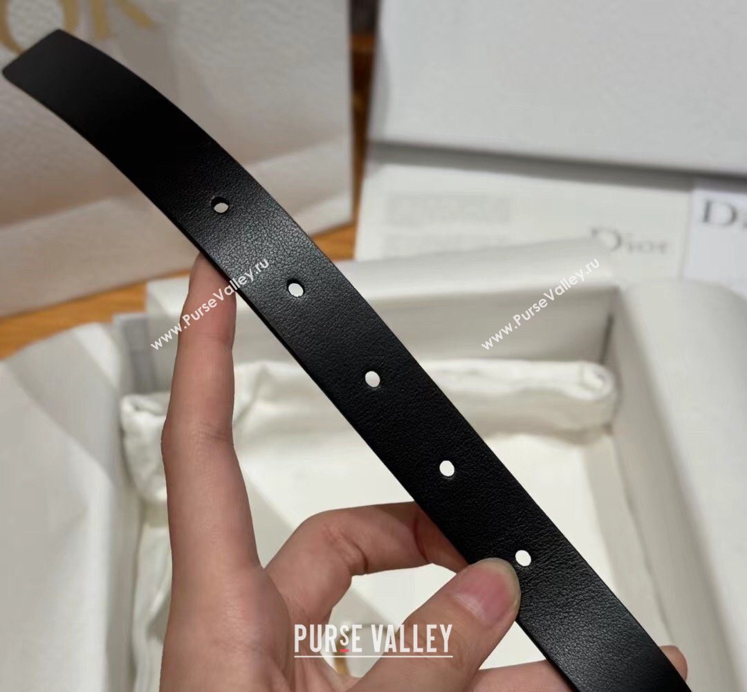 Dior Saddle Loop Belt 2cm in Smooth Leather with CD Pin Buckle Black/Gold 2026 DR031705 (99-260317025)