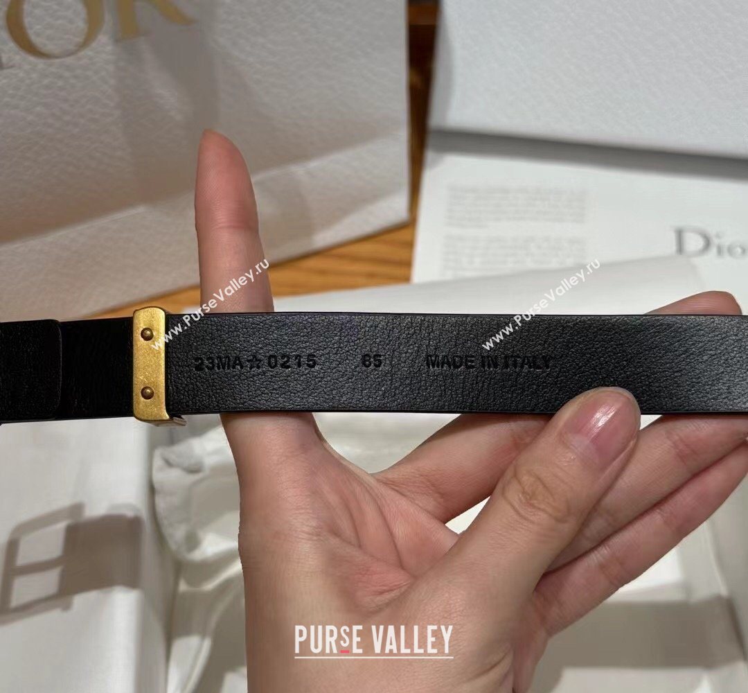 Dior Saddle Loop Belt 2cm in Smooth Leather with CD Pin Buckle Black/Gold 2026 DR031705 (99-260317025)