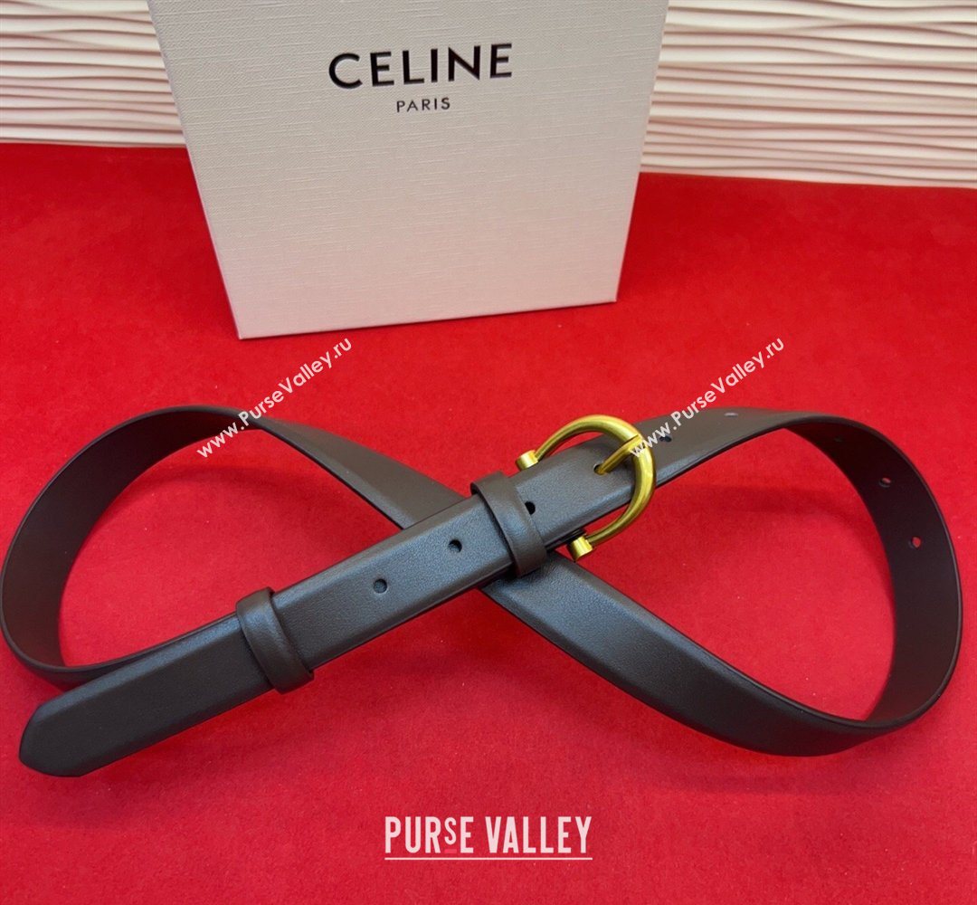 Celine Triomphe Medium Belt 2.5cm with Pin Buckle in Calfskin Leather Dark Brown 2026 CE031602 (99-260316029)