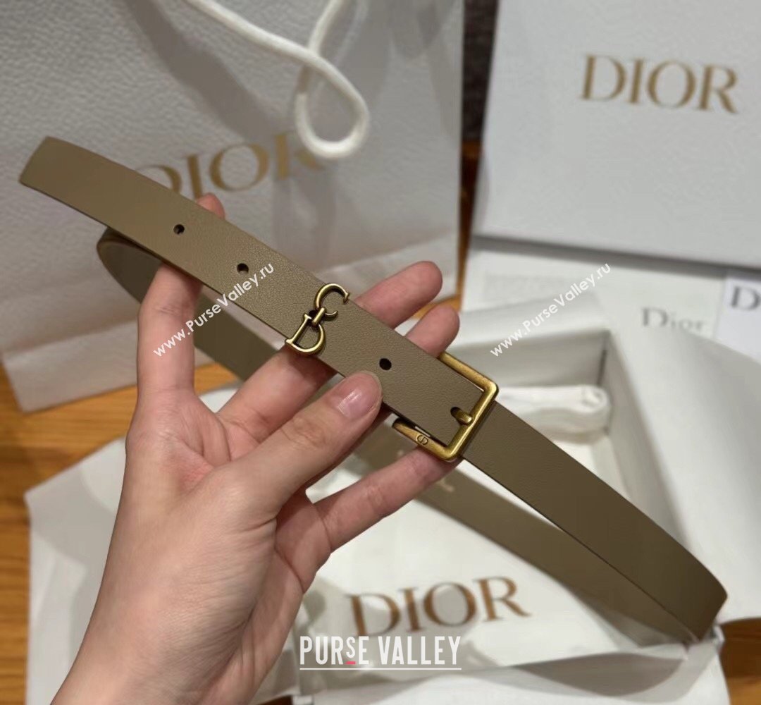 Dior Saddle Loop Belt 2cm in Smooth Leather with CD Pin Buckle Khaki/Gold 2026 DR031705 (99-260317027)