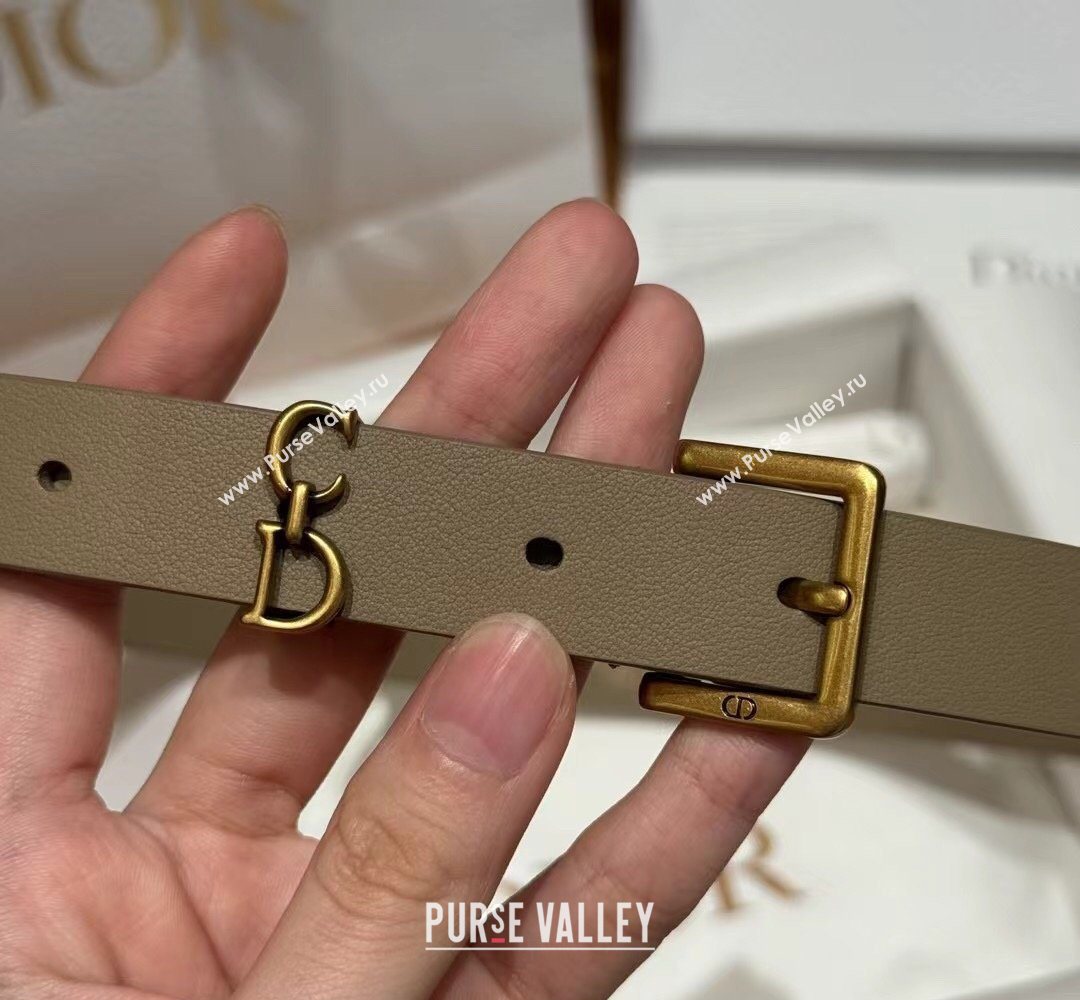 Dior Saddle Loop Belt 2cm in Smooth Leather with CD Pin Buckle Khaki/Gold 2026 DR031705 (99-260317027)