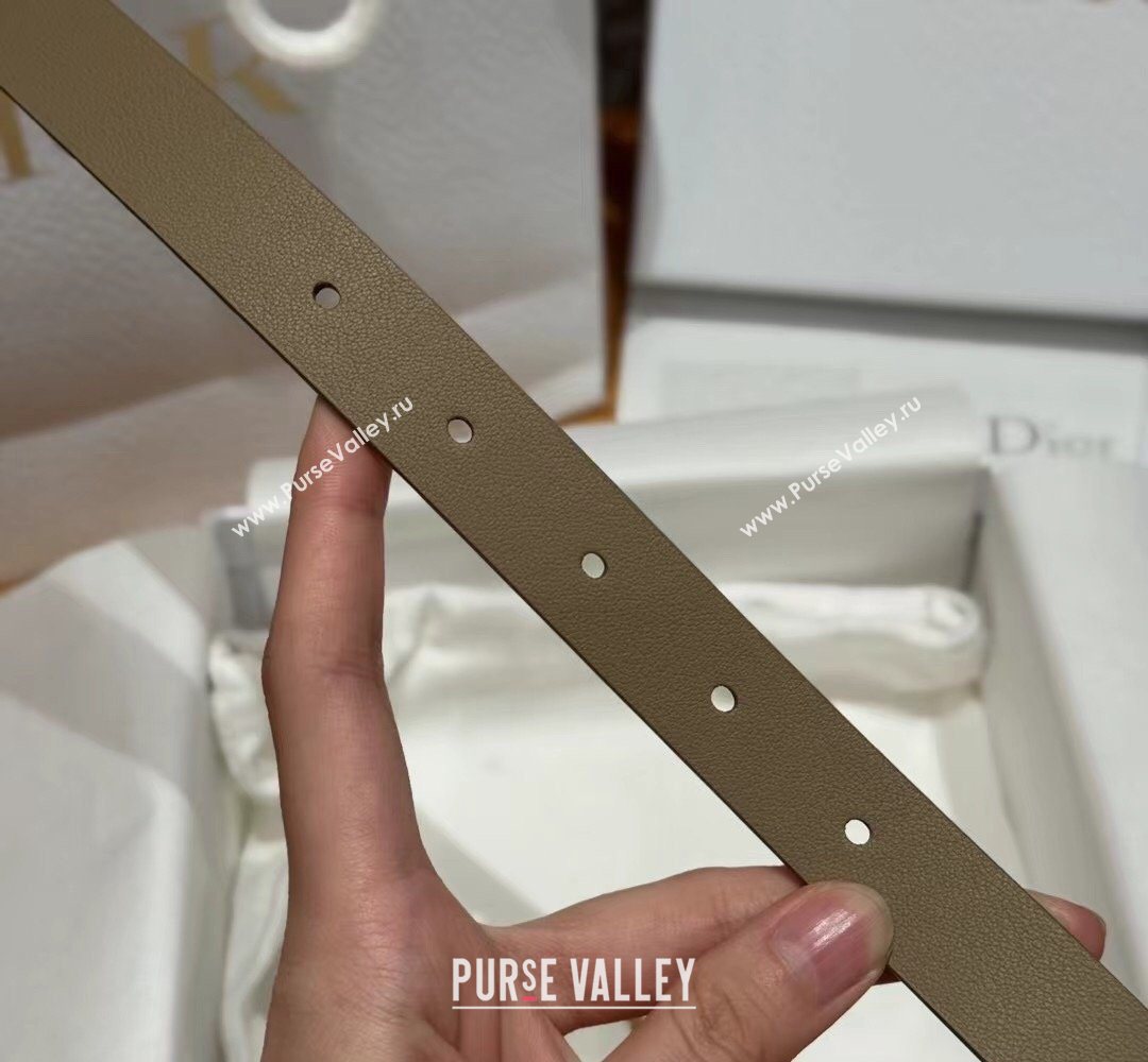 Dior Saddle Loop Belt 2cm in Smooth Leather with CD Pin Buckle Khaki/Gold 2026 DR031705 (99-260317027)