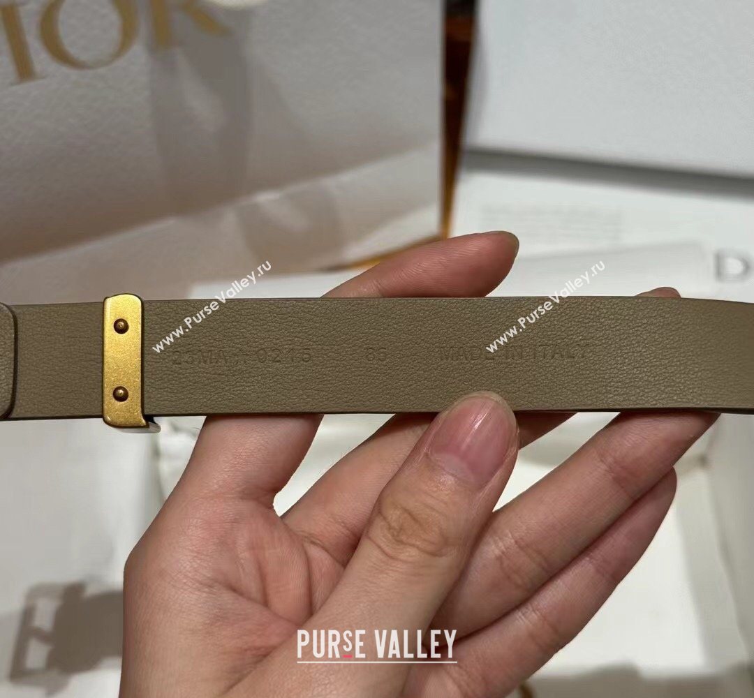 Dior Saddle Loop Belt 2cm in Smooth Leather with CD Pin Buckle Khaki/Gold 2026 DR031705 (99-260317027)