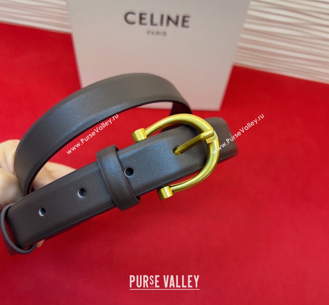 Celine Triomphe Medium Belt 2.5cm with Pin Buckle in Calfskin Leather Dark Brown 2026 CE031602 (99-260316029)