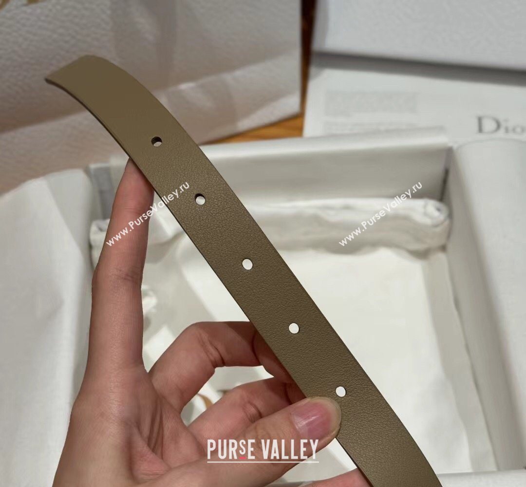 Dior Saddle Loop Belt 2cm in Smooth Leather with CD Pin Buckle Khaki/Silver 2026 DR031705 (99-260317028)