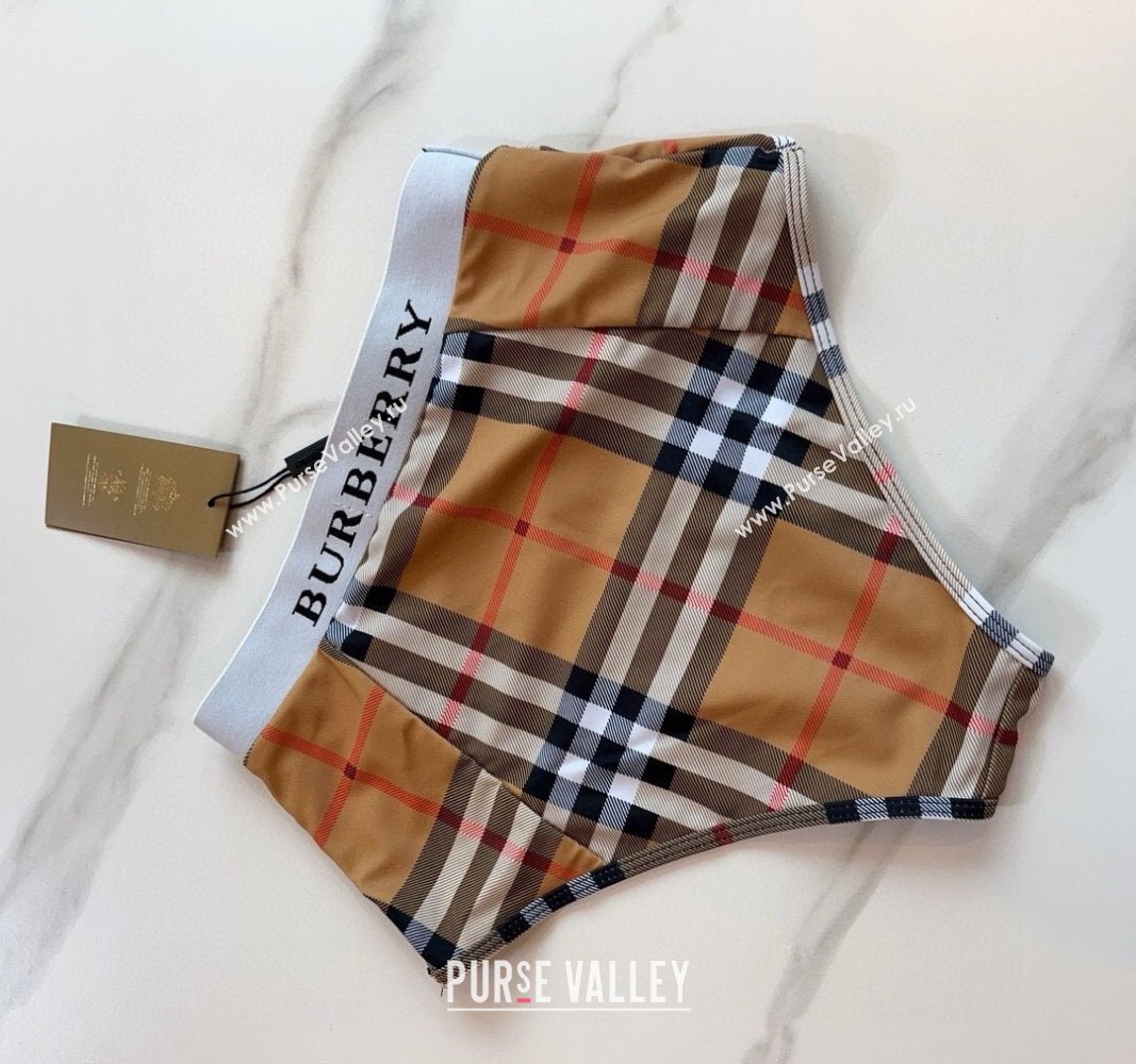 Burberry Two Pieces Swimwear Camel 2024 030601 (XMN-240306047)