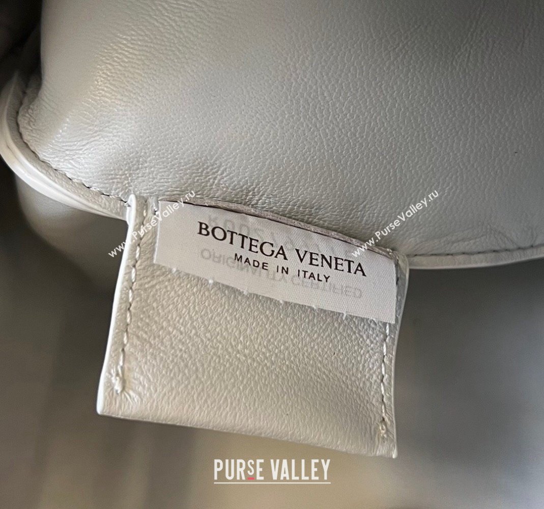 Bottega Veneta Sardine bag in Alligator Leather White 2024 754657 (WT-240221100)