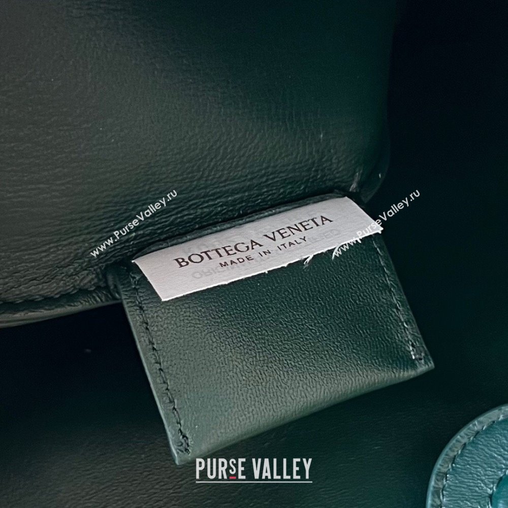 Bottega Veneta Sardine bag in Alligator Leather Emerald green 2024 754657 (WT-240221111)