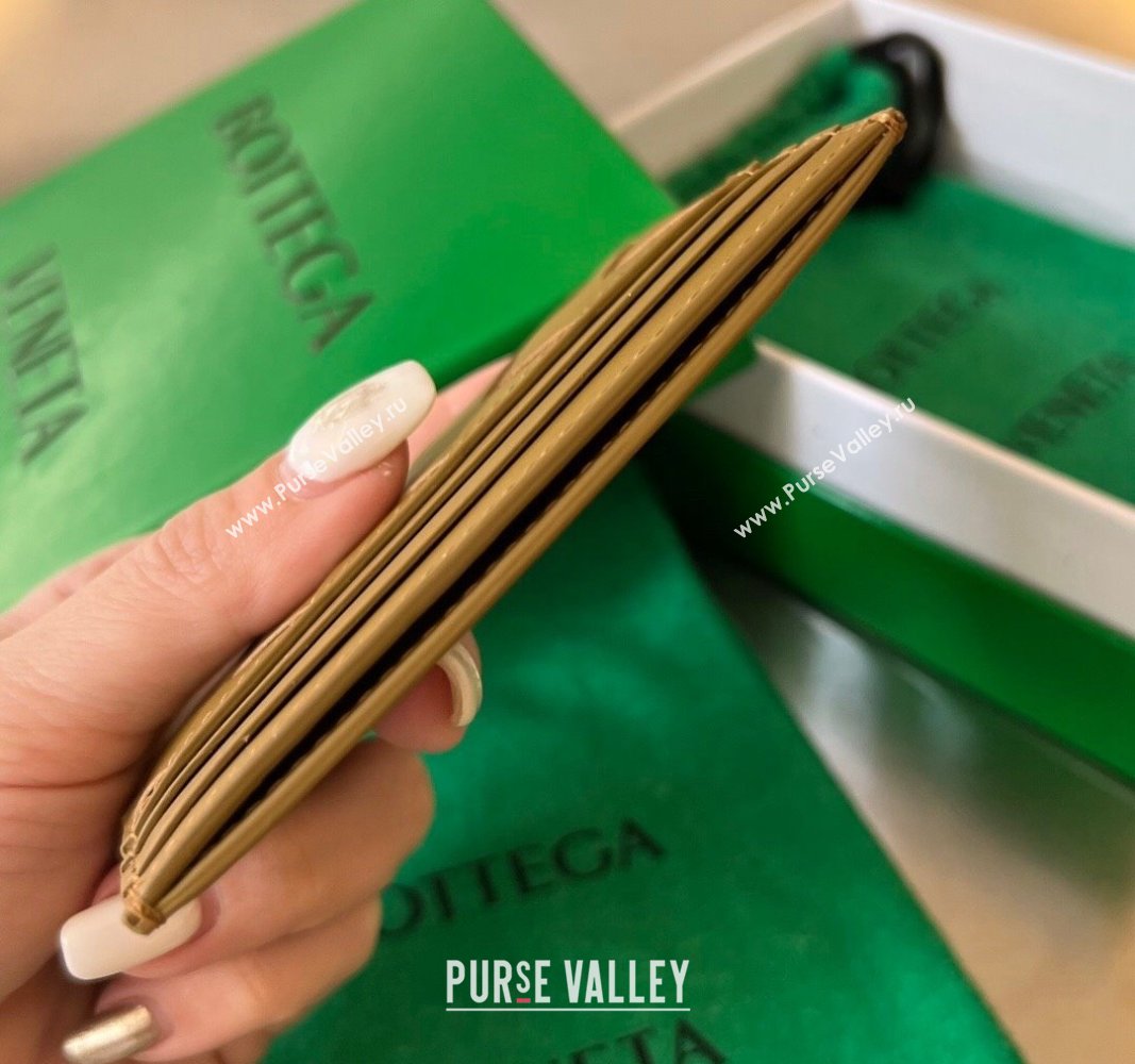 Bottega Veneta Intrecciato Leather Credit Card Case Acorn 2024 731956 (WT-240314063)