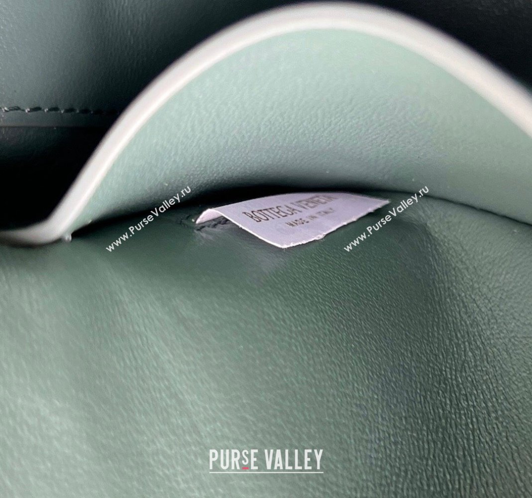 Bottega Veneta Mini Sunrise Hobo Bag Aloe Green 2024 763747 (WT-240418103)