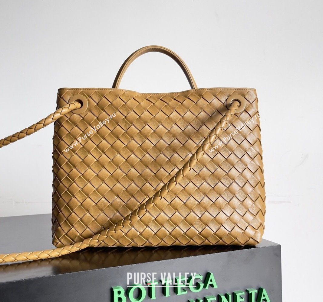 Bottega Veneta Medium Andiamo Top Handle Bag in Intrecciato Leather 743572 Brown 1 2024 (YX-241029056)