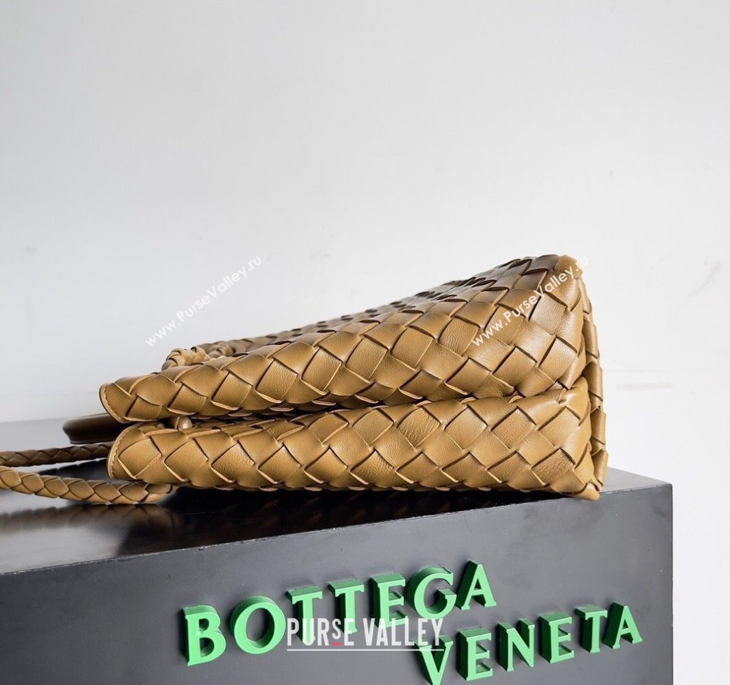 Bottega Veneta Medium Andiamo Top Handle Bag in Intrecciato Leather 743572 Brown 1 2024 (YX-241029056)