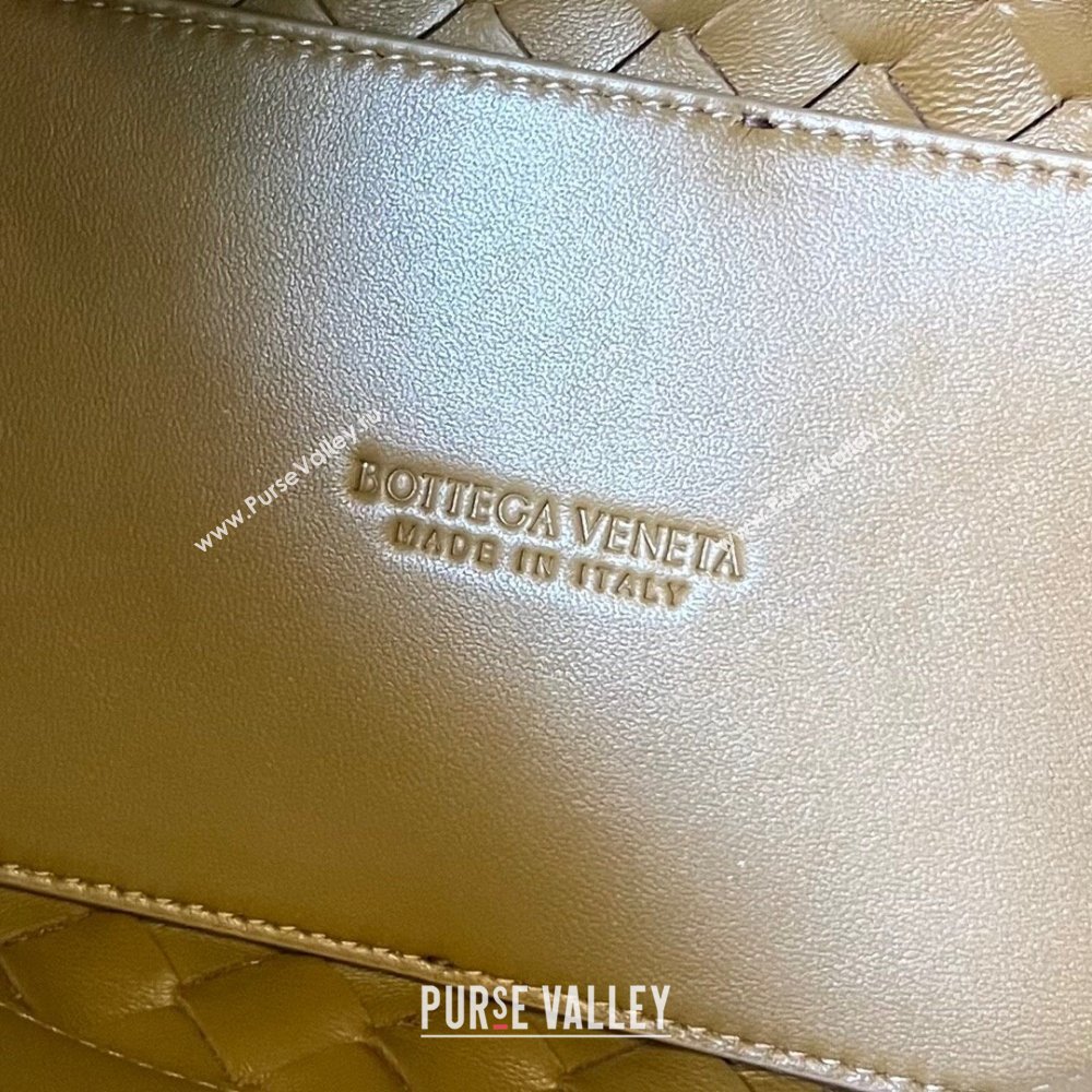 Bottega Veneta Medium Andiamo Top Handle Bag in Suede 743572 Light Brown 2024 (WT-241217093)