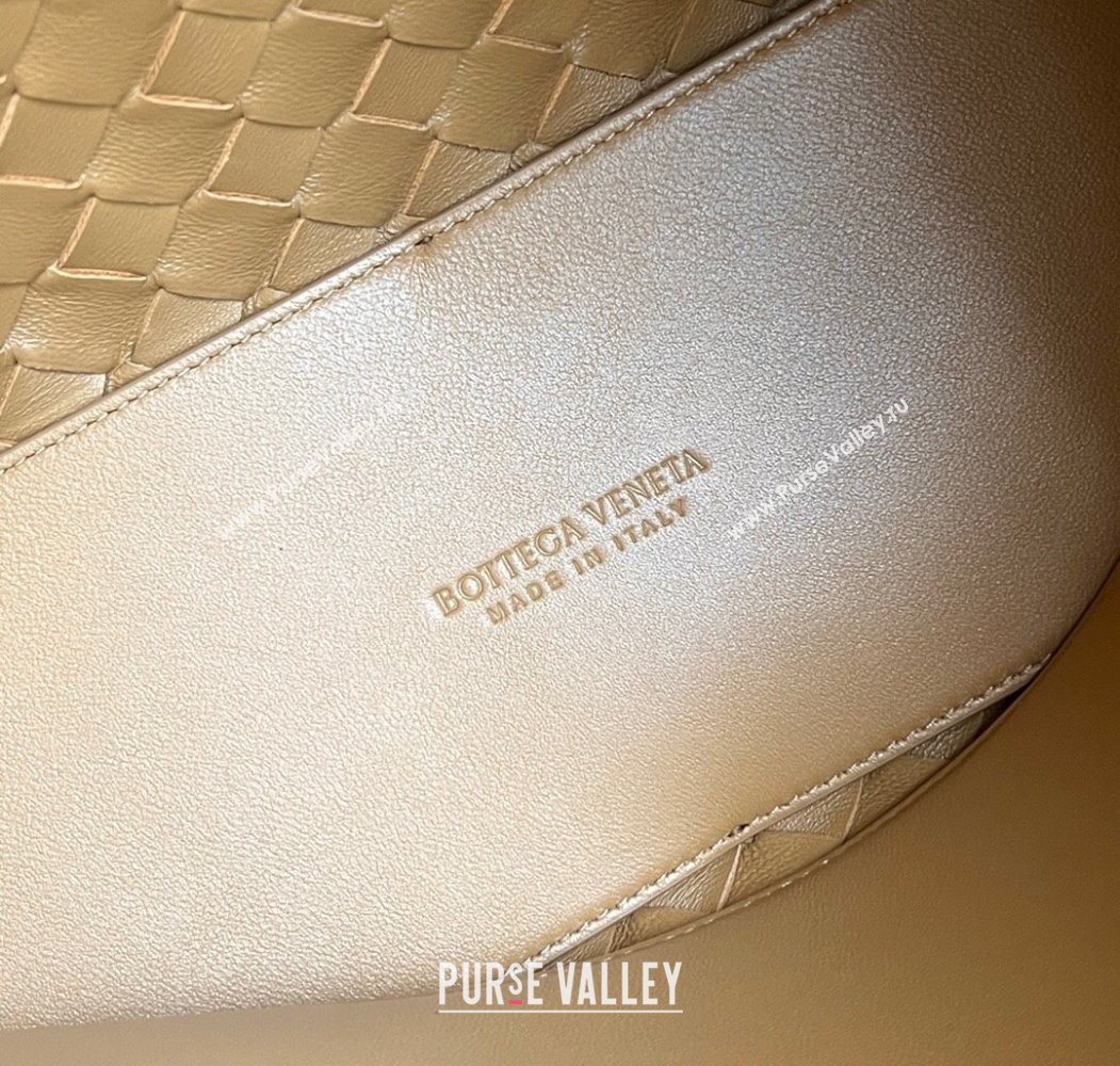 Bottega Veneta Medium Andiamo Top Handle Bag in Intrecciato Leather 743572 Apricot 2024 (WT-250205001)
