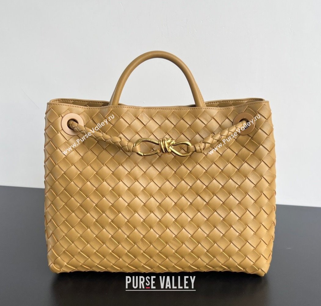 Bottega Veneta Medium Andiamo Top Handle Bag in Intrecciato Leather 743572 Apricot 2024 (WT-250205001)