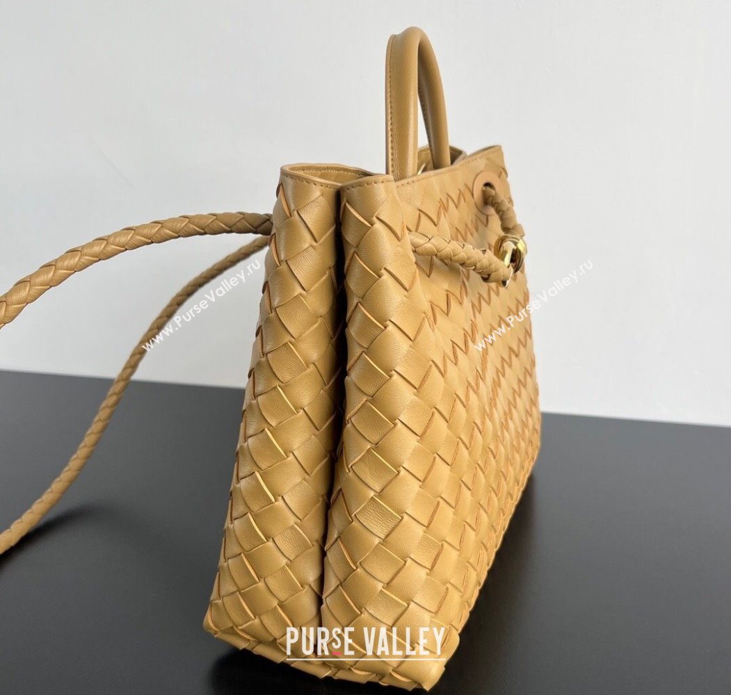 Bottega Veneta Medium Andiamo Top Handle Bag in Intrecciato Leather 743572 Apricot 2024 (WT-250205001)