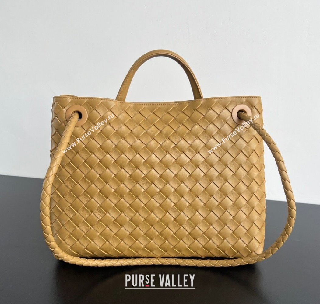 Bottega Veneta Medium Andiamo Top Handle Bag in Intrecciato Leather 743572 Apricot 2024 (WT-250205001)