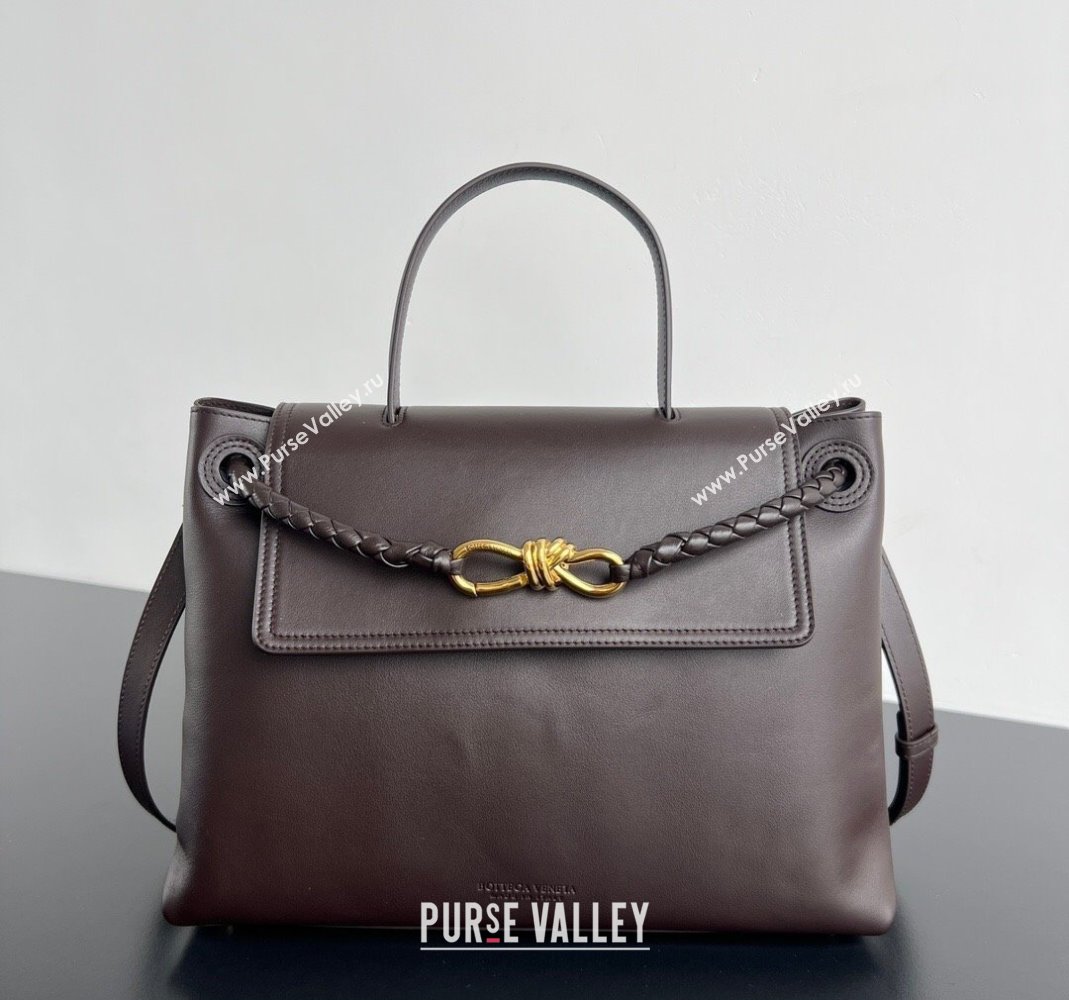 Bottega Veneta Medium Ciao Ciao Top Handle Bag in Calf Leather 817231 Fondant Brown 2025 (WT-250519026)