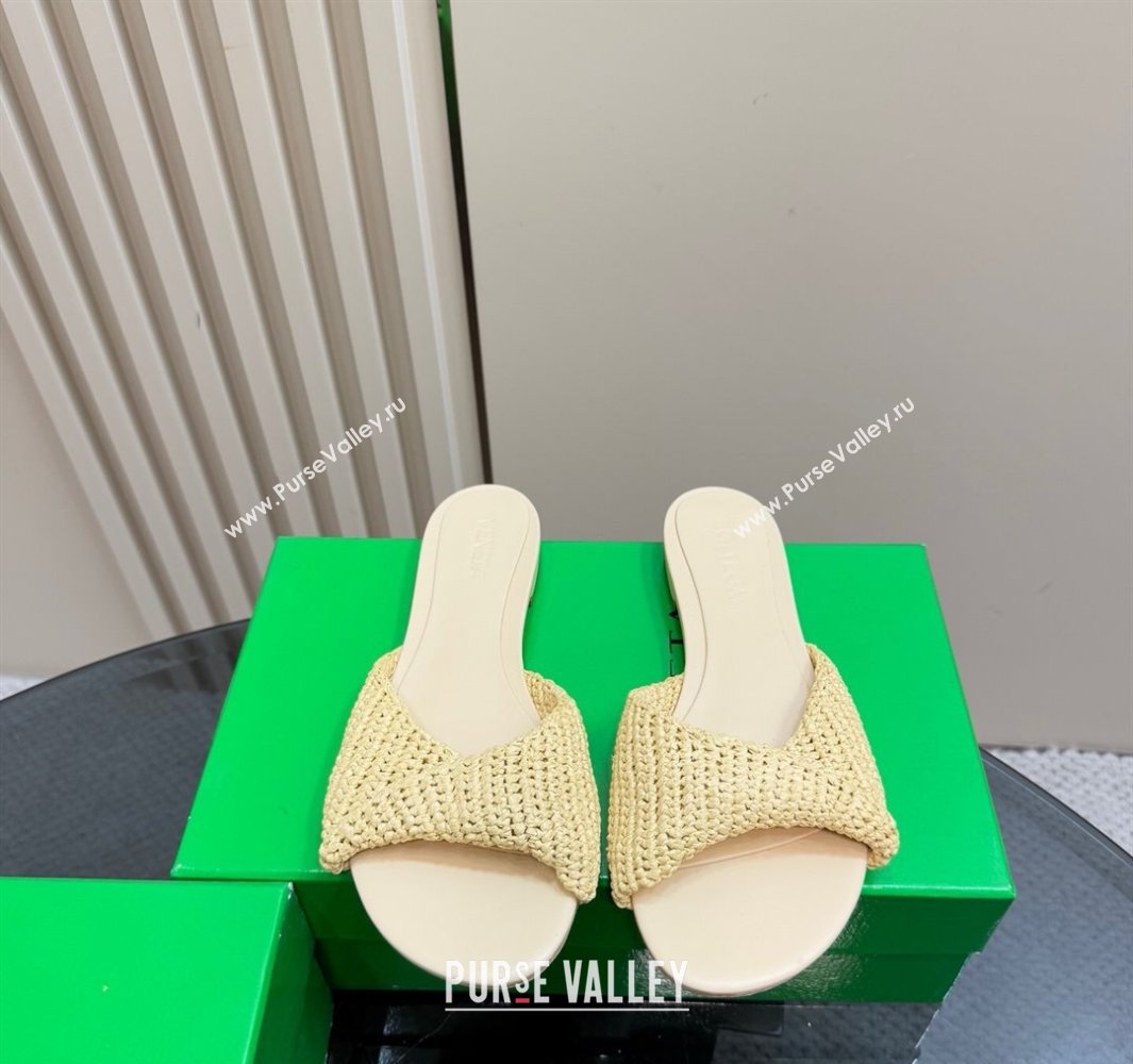 Bottega Veneta Blink Flat Slides Sandal in Crochet Raffia Straw Beige 2025 (MD-250428090)
