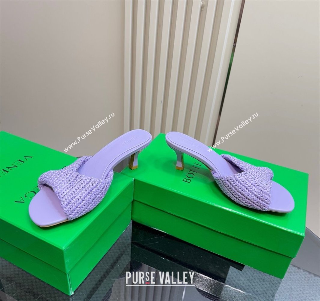 Bottega Veneta Blink Mid Heel Slides Sandal 6.5cm in Crochet Raffia Straw Purple 2025 (MD-250428084)