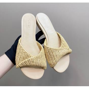 Bottega Veneta Blink Flat Slides Sandal in Crochet Raffia Straw Beige 2025 (MD-250428090)