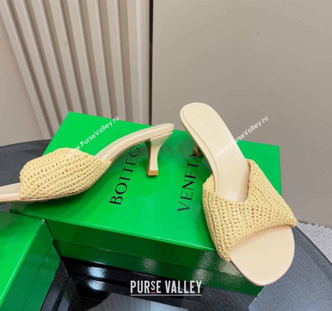 Bottega Veneta Blink Mid Heel Slides Sandal 6.5cm in Crochet Raffia Straw Beige 2025 (MD-250428080)