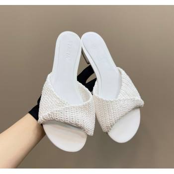 Bottega Veneta Blink Flat Slides Sandal in Crochet Raffia Straw White 2025 (MD-250428091)