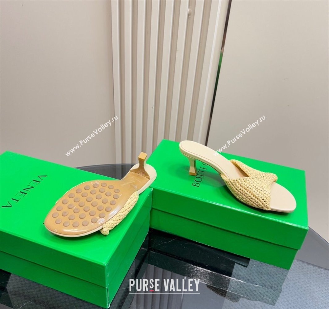 Bottega Veneta Blink Mid Heel Slides Sandal 6.5cm in Crochet Raffia Straw Beige 2025 (MD-250428080)