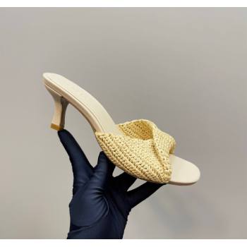 Bottega Veneta Blink Mid Heel Slides Sandal 6.5cm in Crochet Raffia Straw Beige 2025 (MD-250428080)
