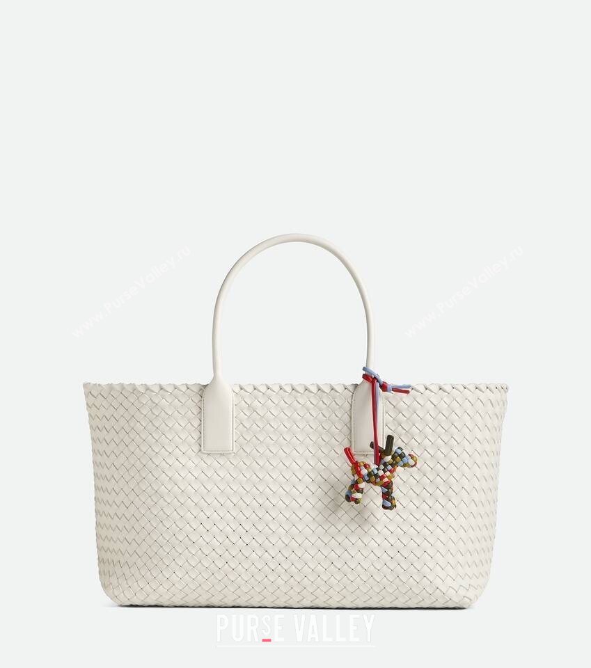 Bottega Veneta Dog Charm in Intrecciato Leather 807068 Multicolor 2025 (WT-250624048)