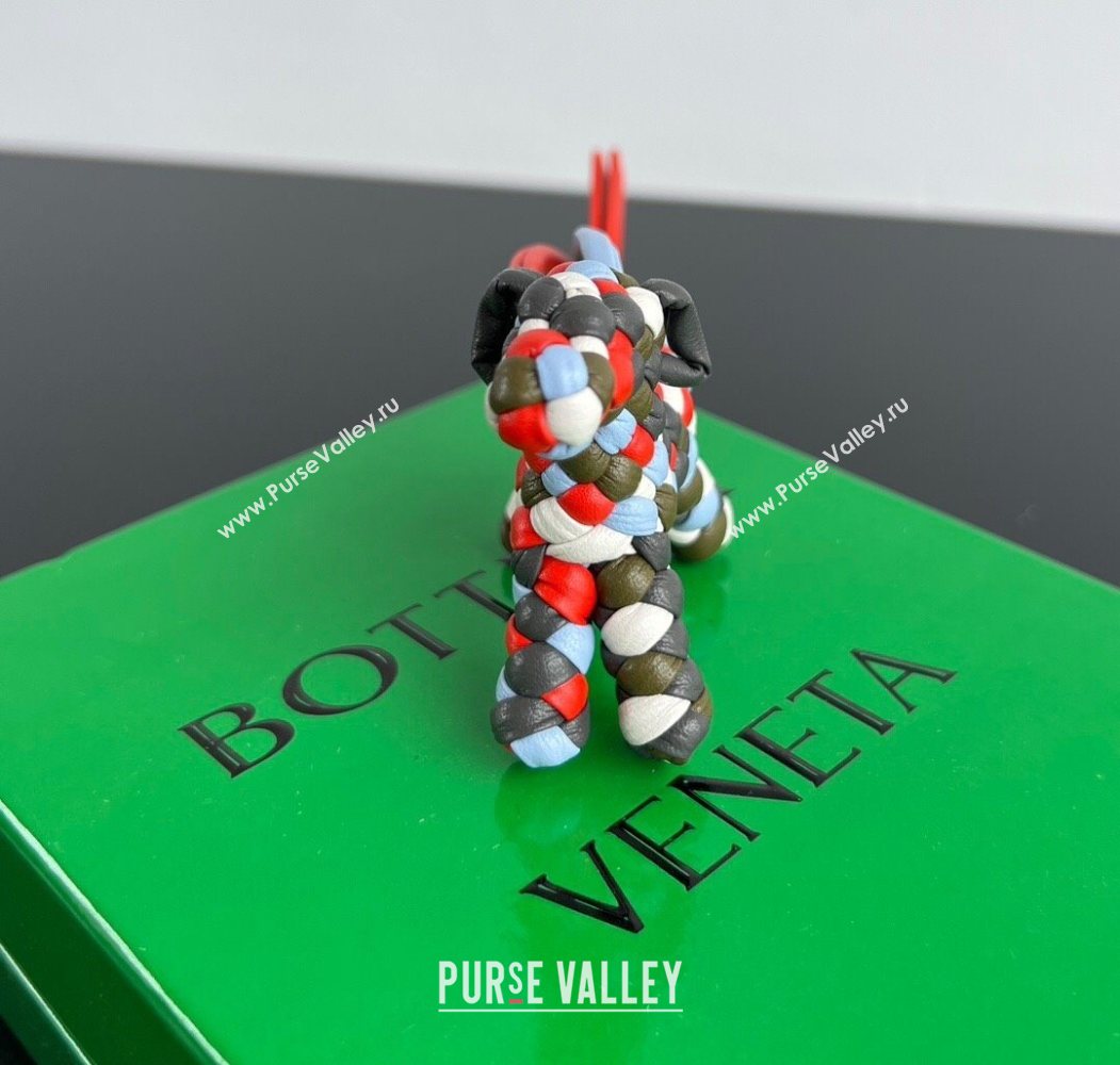 Bottega Veneta Dog Charm in Intrecciato Leather 807068 Multicolor 2025 (WT-250624048)