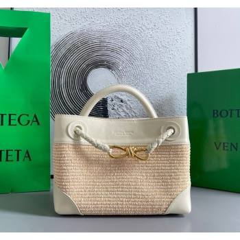 Bottega Veneta Small Andiamo Top Handle Bag in Raffia Straw and Leather Sea Sault 2025 743568 (WT-250731032)