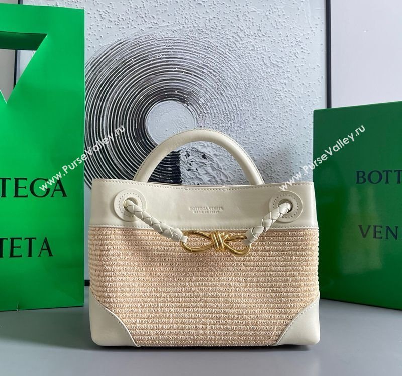 Bottega Veneta Small Andiamo Top Handle Bag in Raffia Straw and Leather Sea Sault 2025 743568 (WT-250731032)
