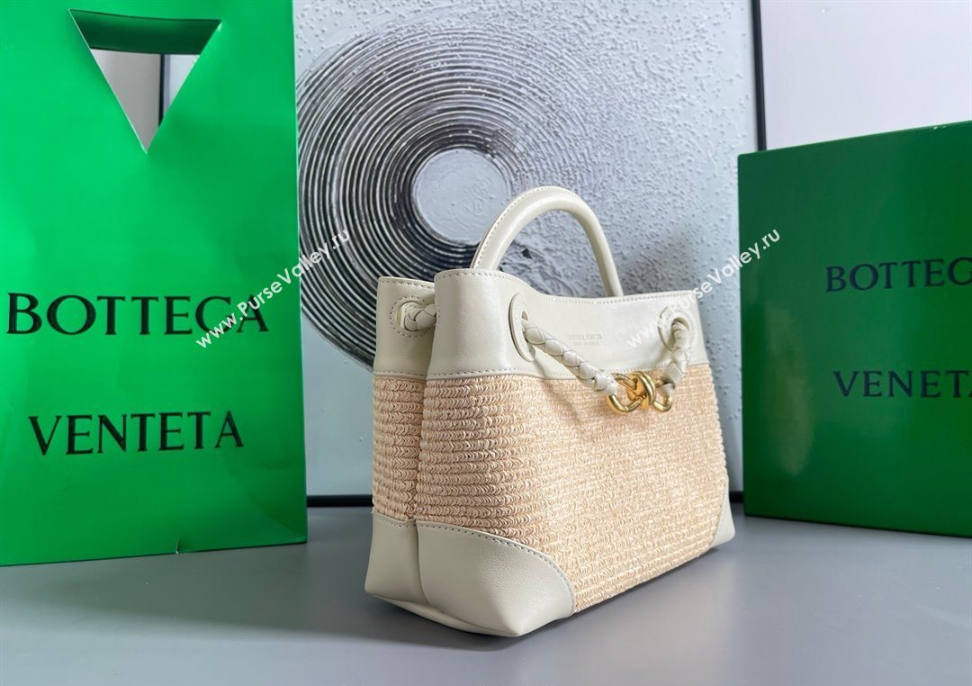 Bottega Veneta Small Andiamo Top Handle Bag in Raffia Straw and Leather Sea Sault 2025 743568 (WT-250731032)