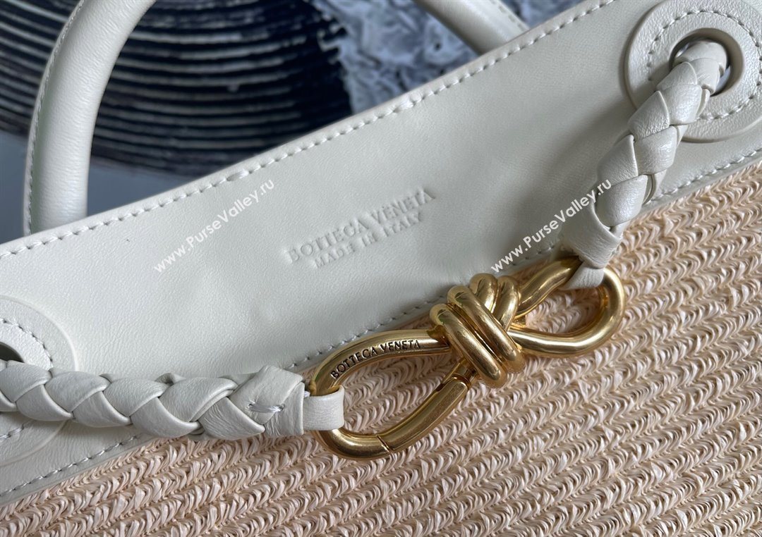 Bottega Veneta Small Andiamo Top Handle Bag in Raffia Straw and Leather Sea Sault 2025 743568 (WT-250731032)